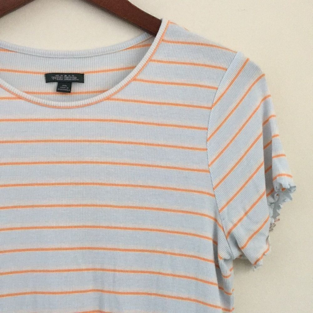 Wild Fable Retro Stripe Crop Tee | Size XXL